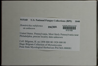 Image Associated With the Occurence